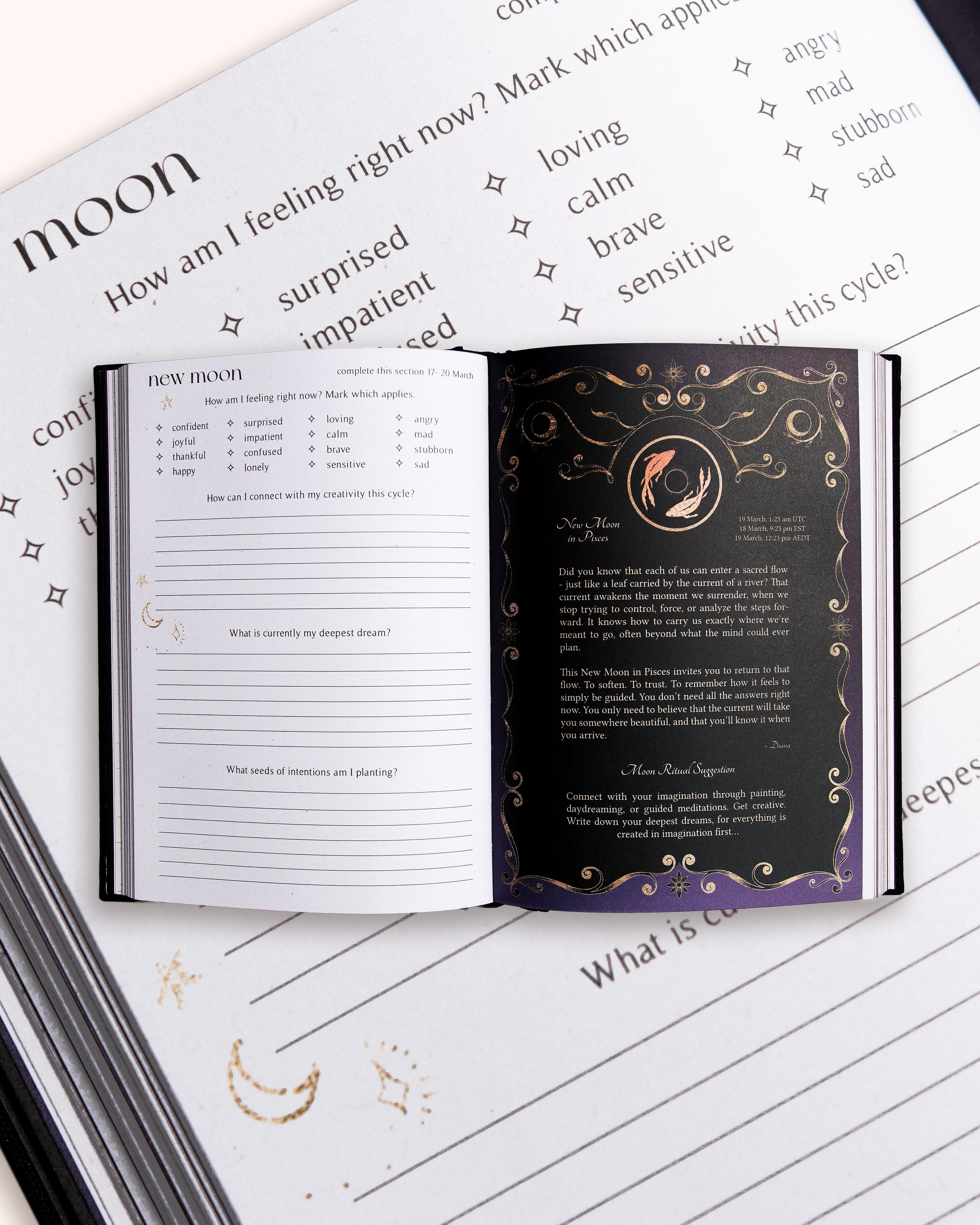 Dreamy Moons 2026 Year of Growth Planner Book VINTAGE ROSE