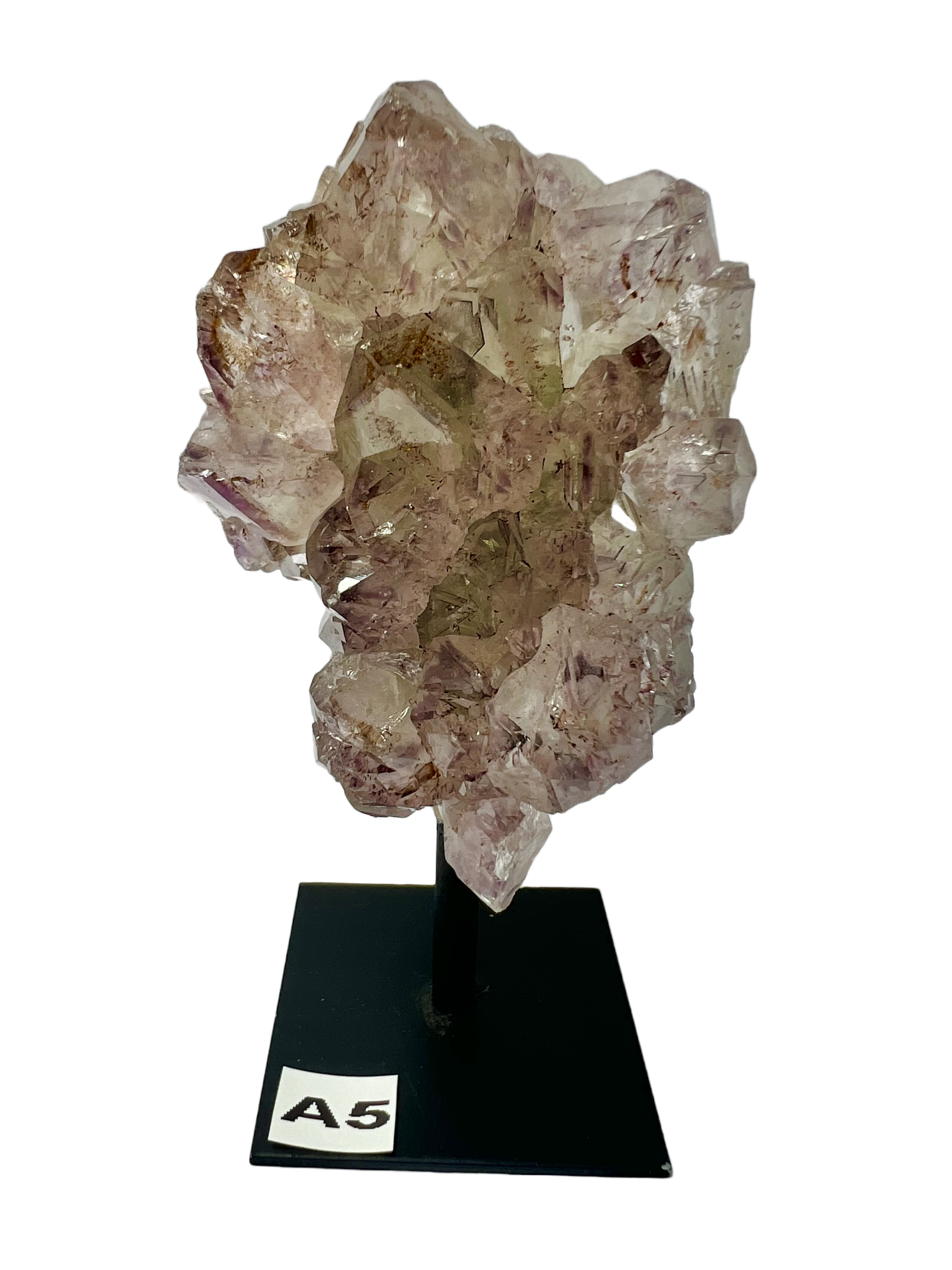 Amethyst Cluster on Stand A5