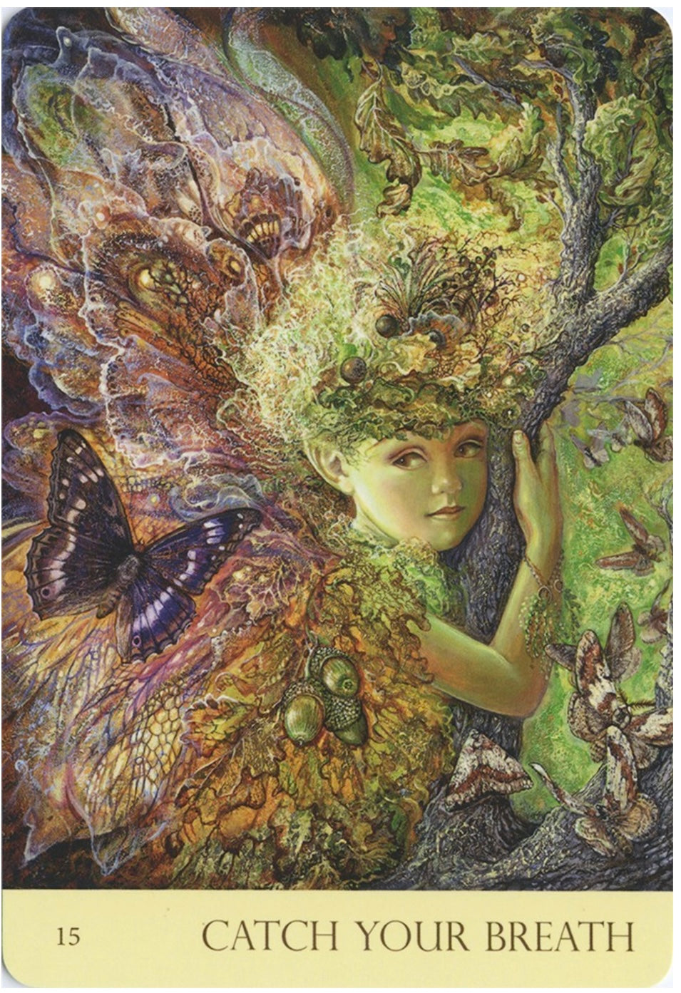 Nature's Whispers Oracle Deck