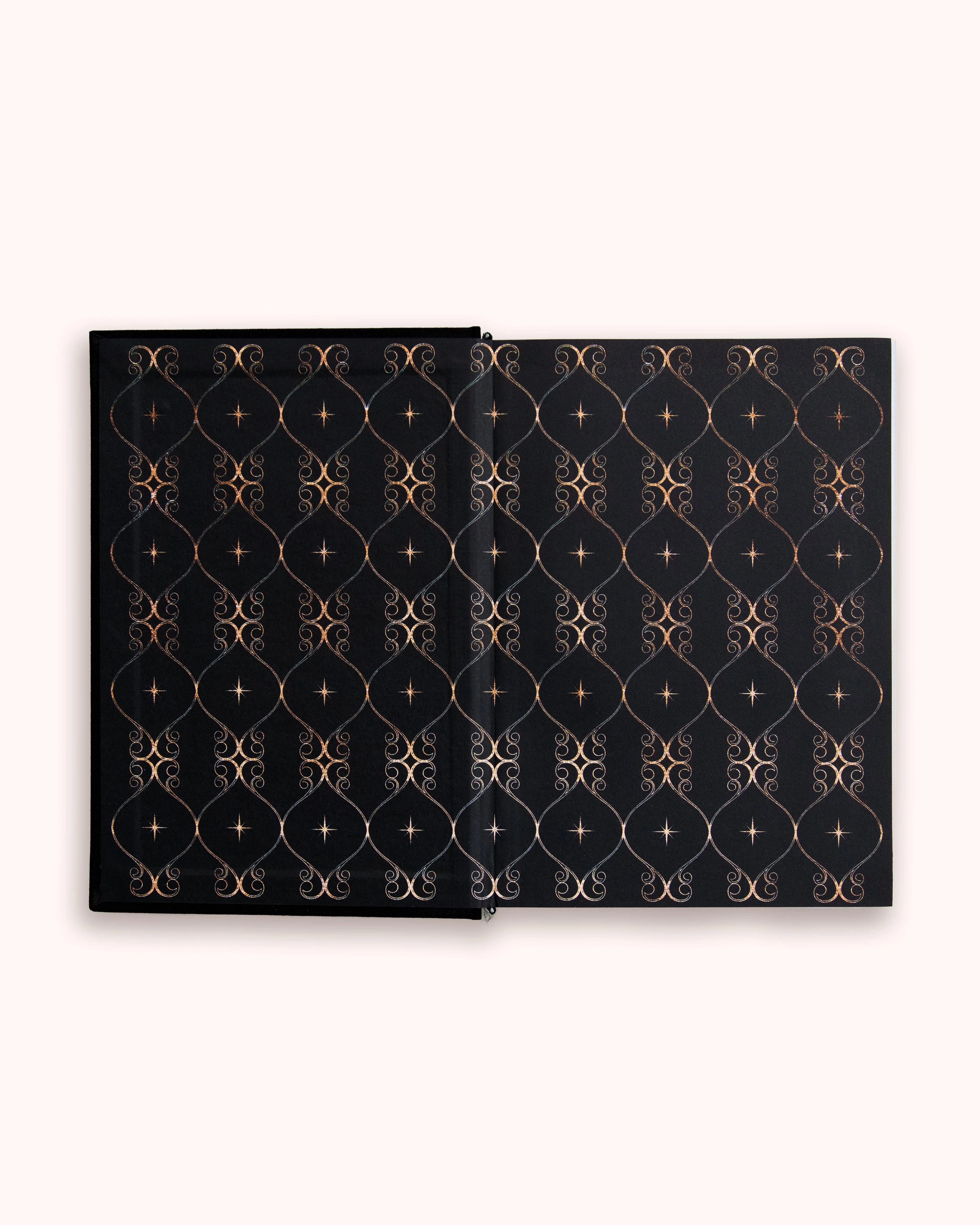 Dreamy Moons 2026 Daily Planner Onyx Black