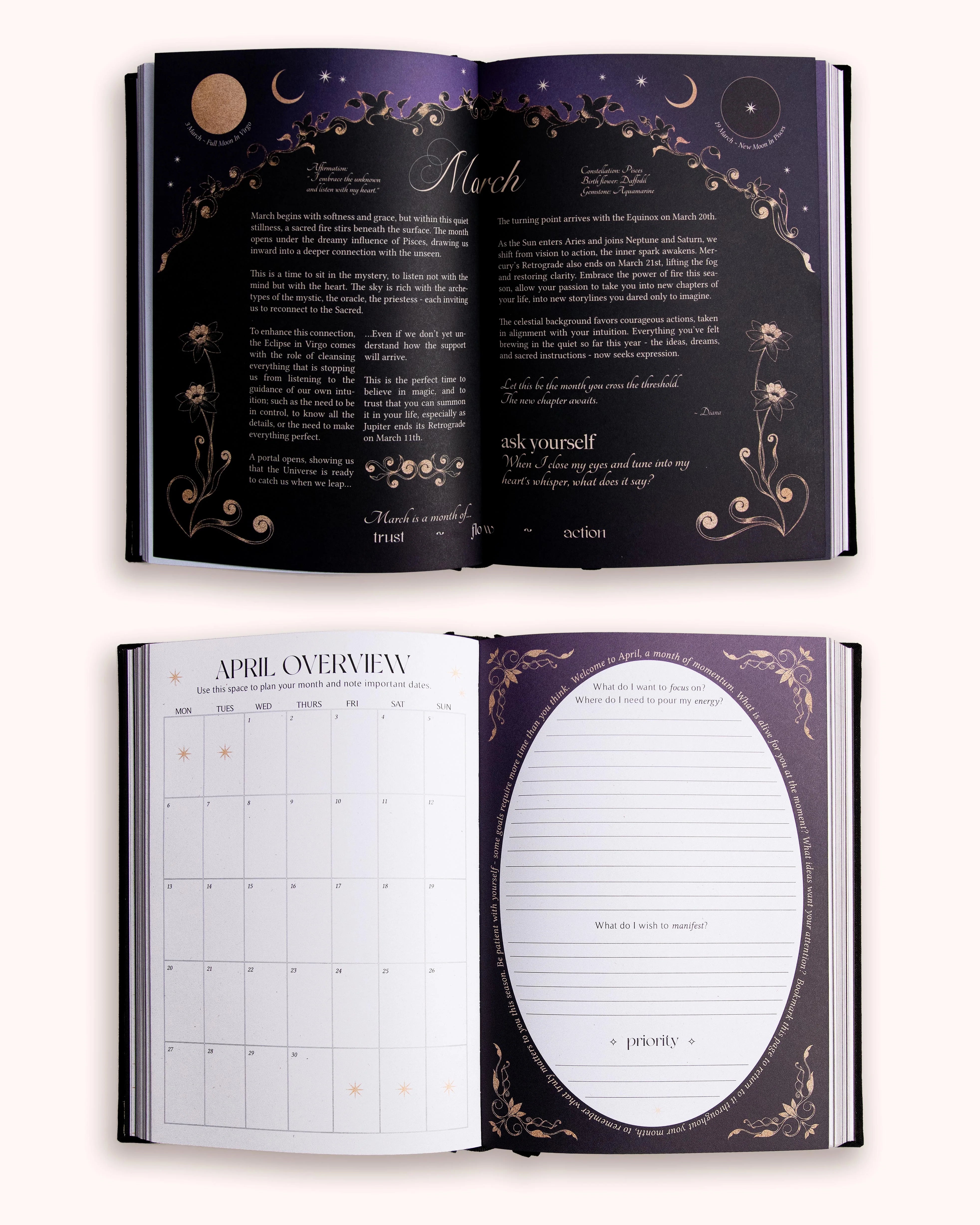 Dreamy Moons 2026 Year of Growth Planner Book VINTAGE ROSE