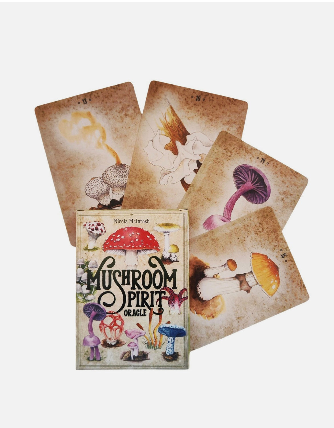 Mushroom Spirit Oracle Cards