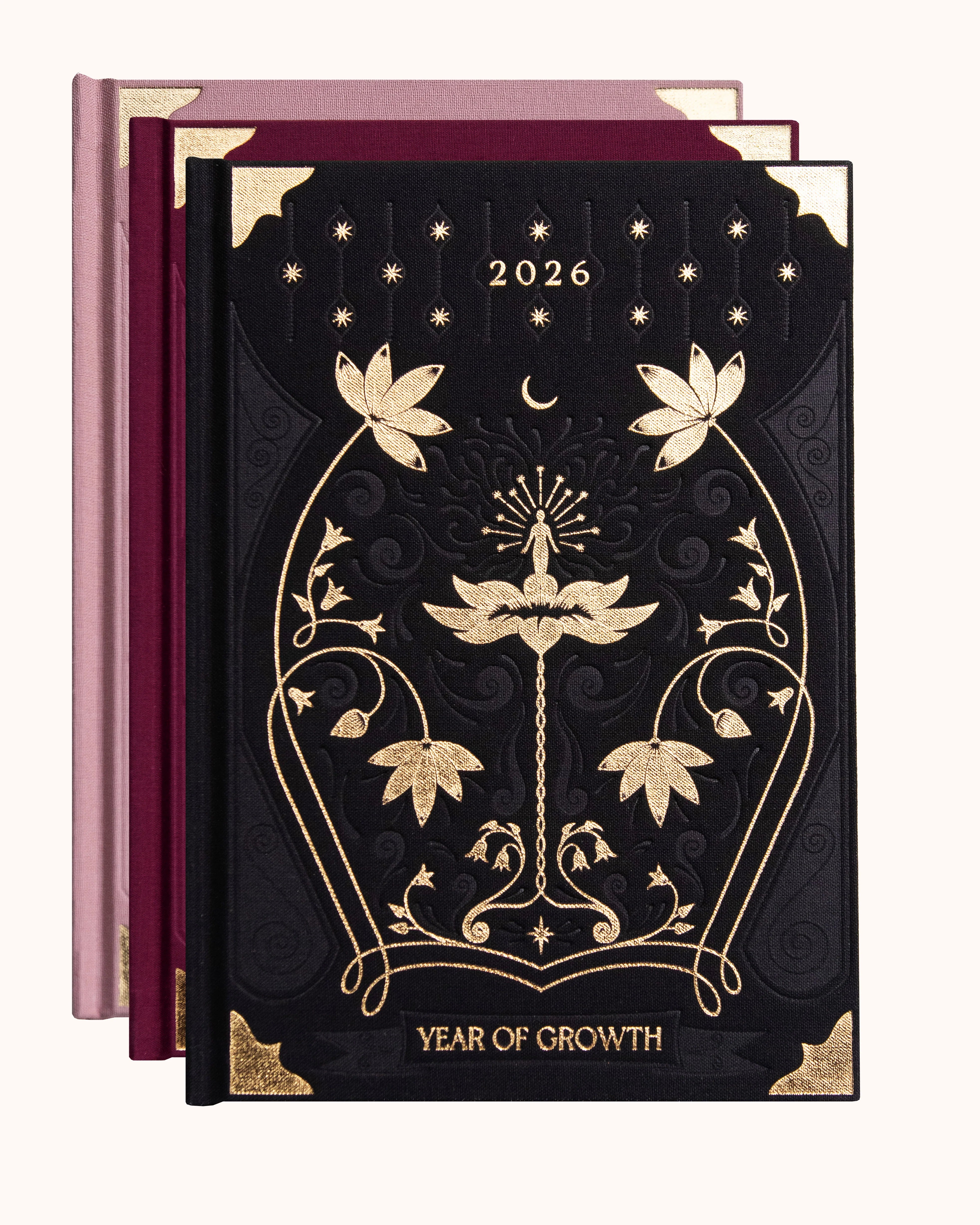 Dreamy Moons 2026 Year of Growth Planner Book VINTAGE ROSE