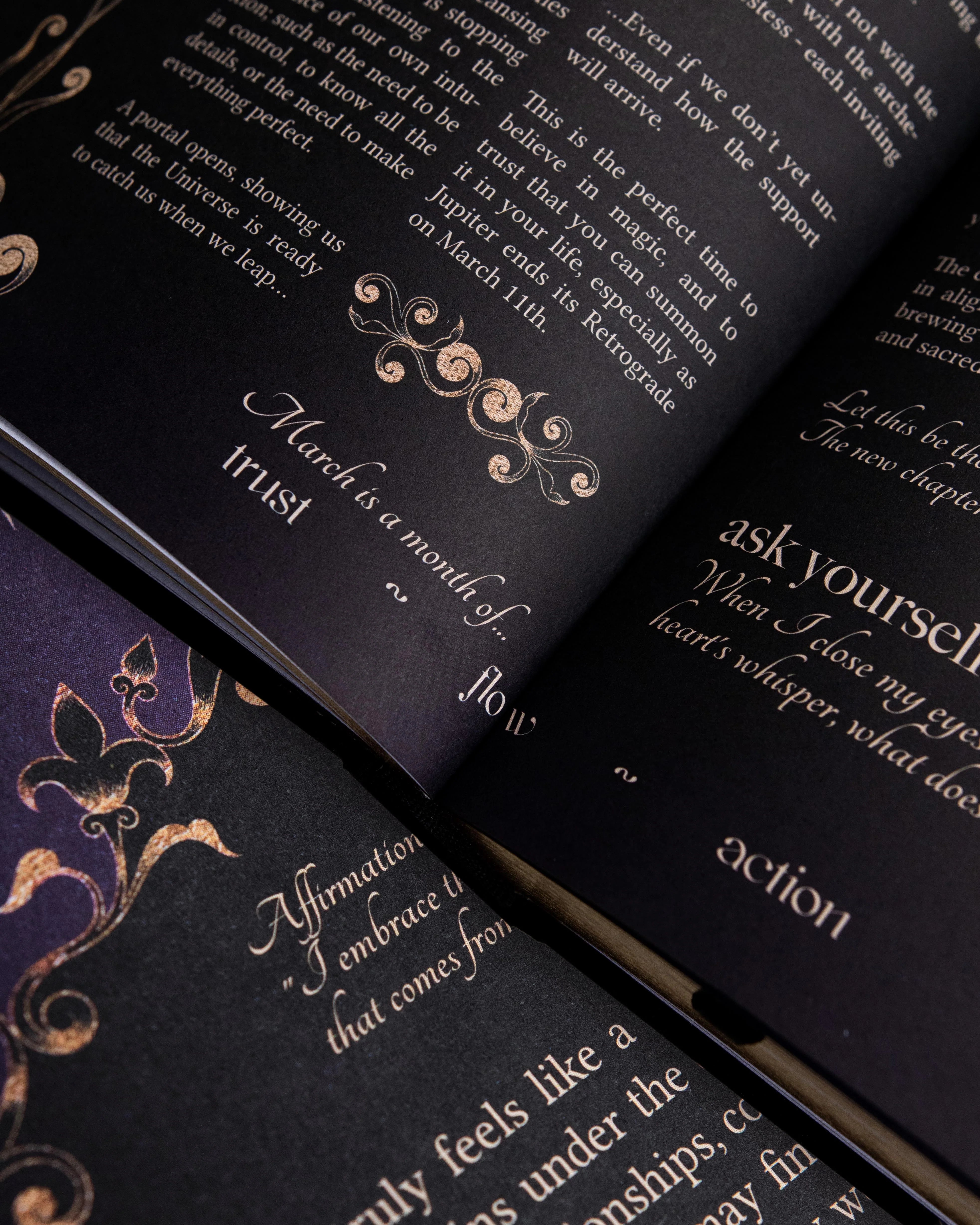 Dreamy Moons 2026 Year of Growth Planner Book VINTAGE ROSE