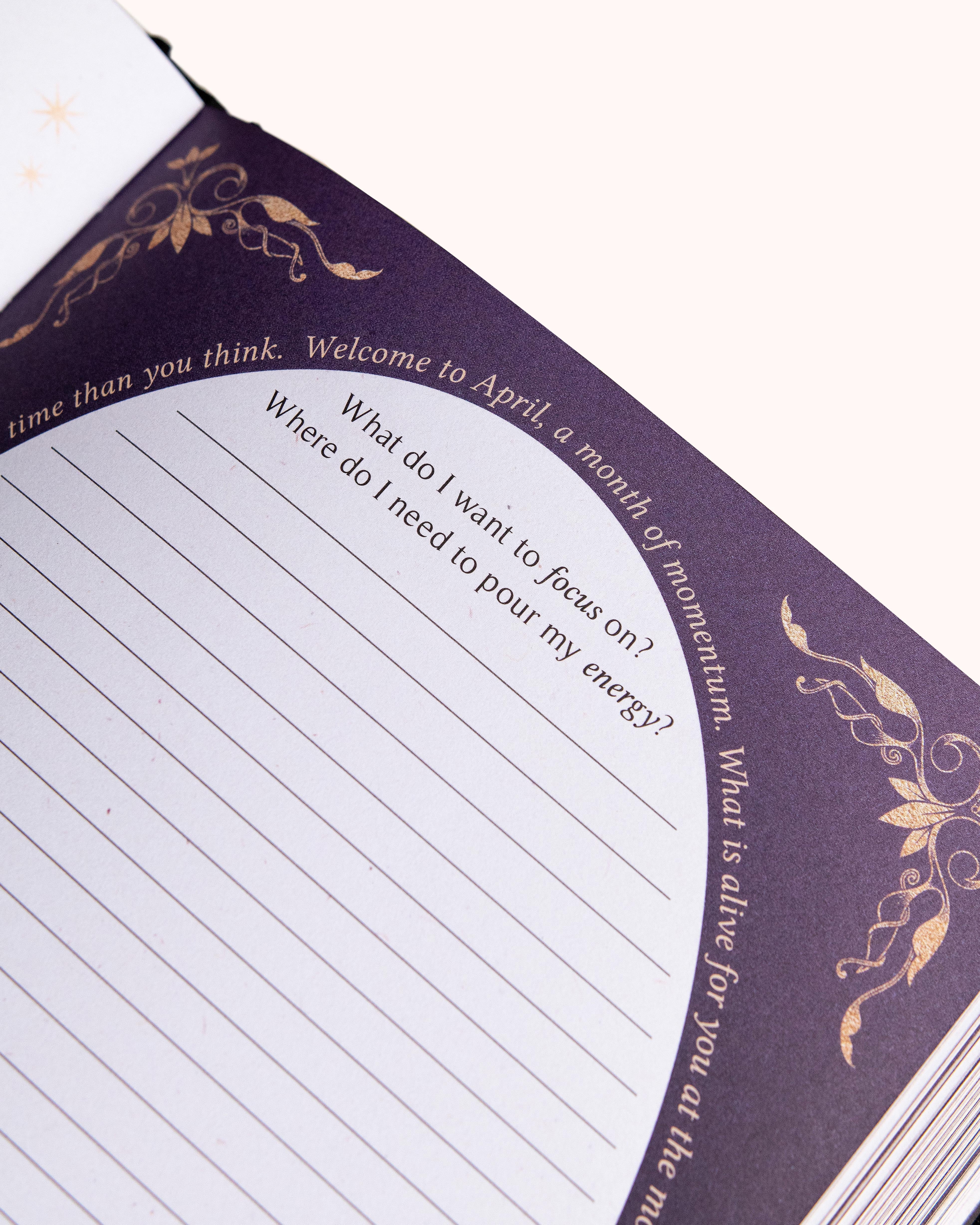 Dreamy Moons 2026 Year of Growth Planner Book VINTAGE ROSE