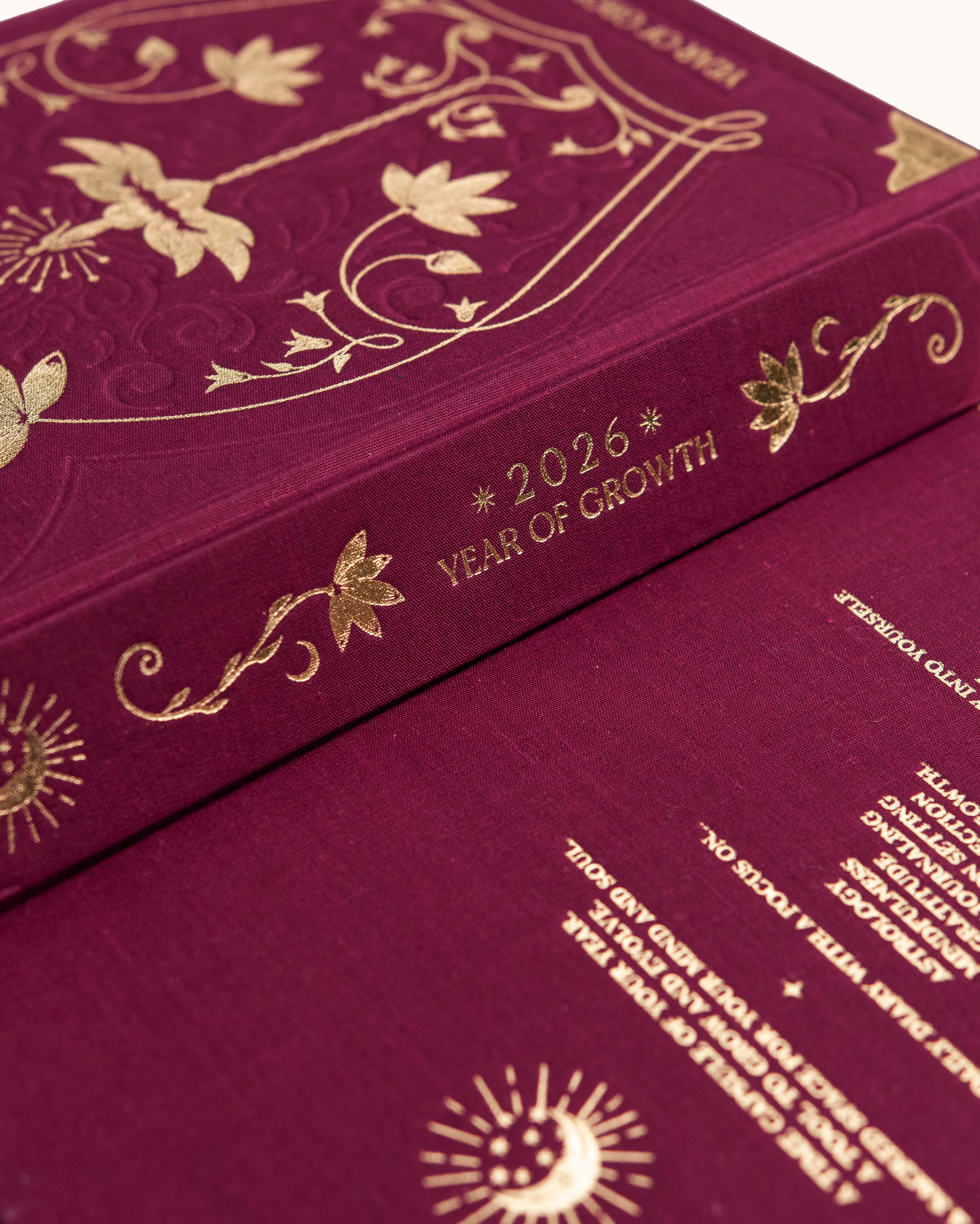 Dreamy Moons 2026 Year of Growth Planner Book VINTAGE ROSE