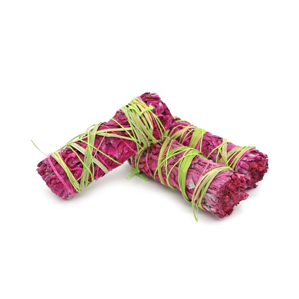 1 piece Precious Garden Sage 10cm