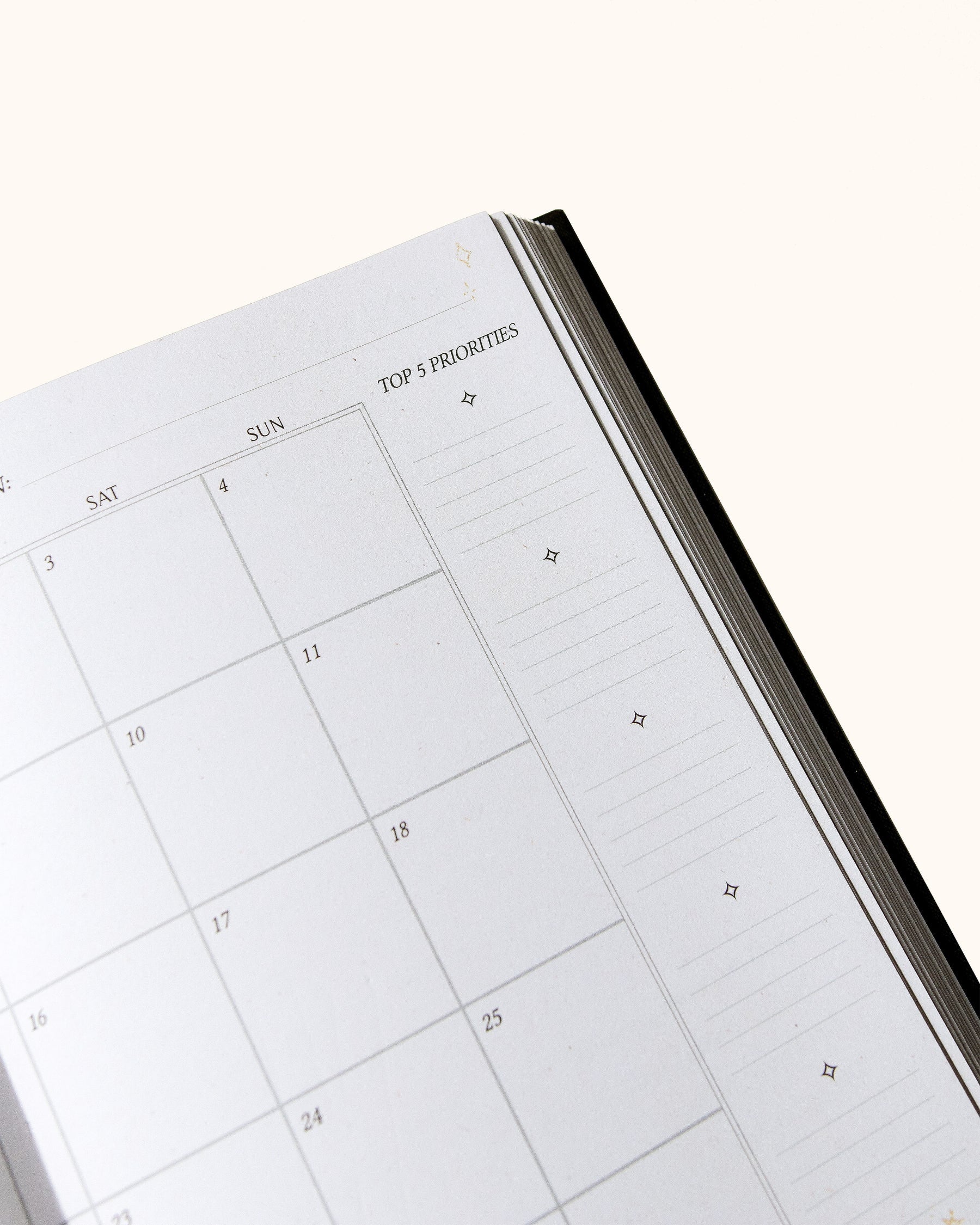DREAMY MOONS 2025 DAILY PLANNER BLACK