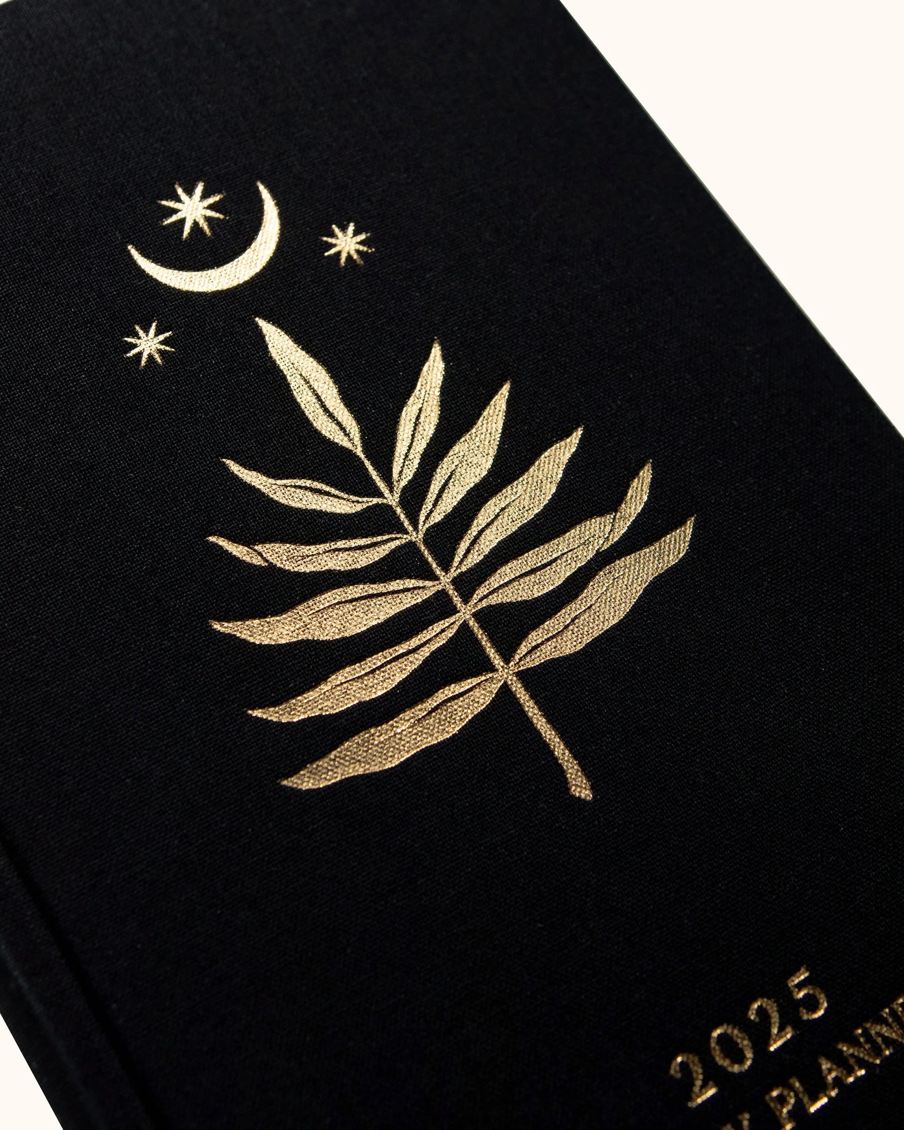 DREAMY MOONS 2025 DAILY PLANNER BLACK