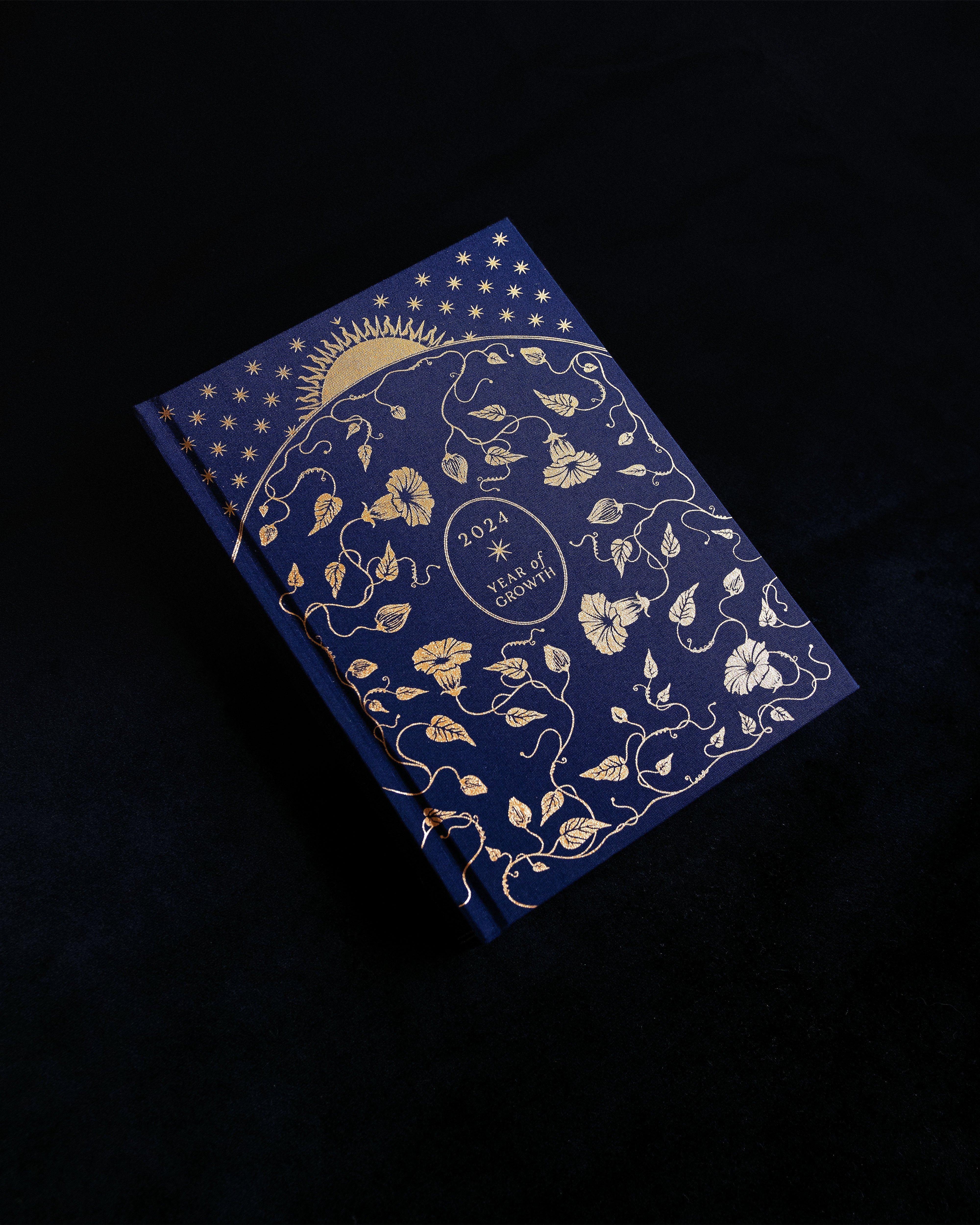 DREAMY MOONS 2024 YEAR OF GROWTH BOOK - BLUE