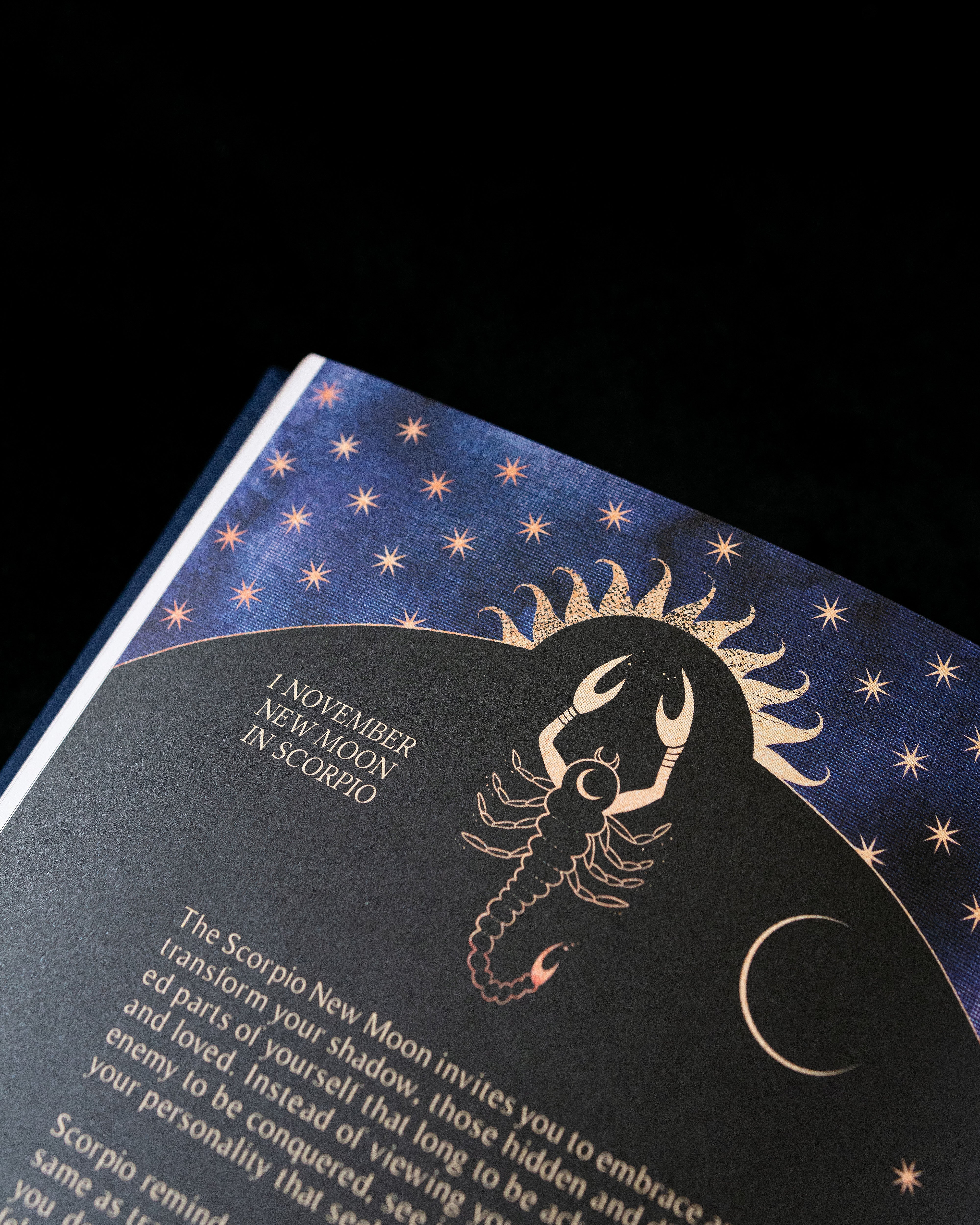 DREAMY MOONS 2024 YEAR OF GROWTH BOOK - BLACK
