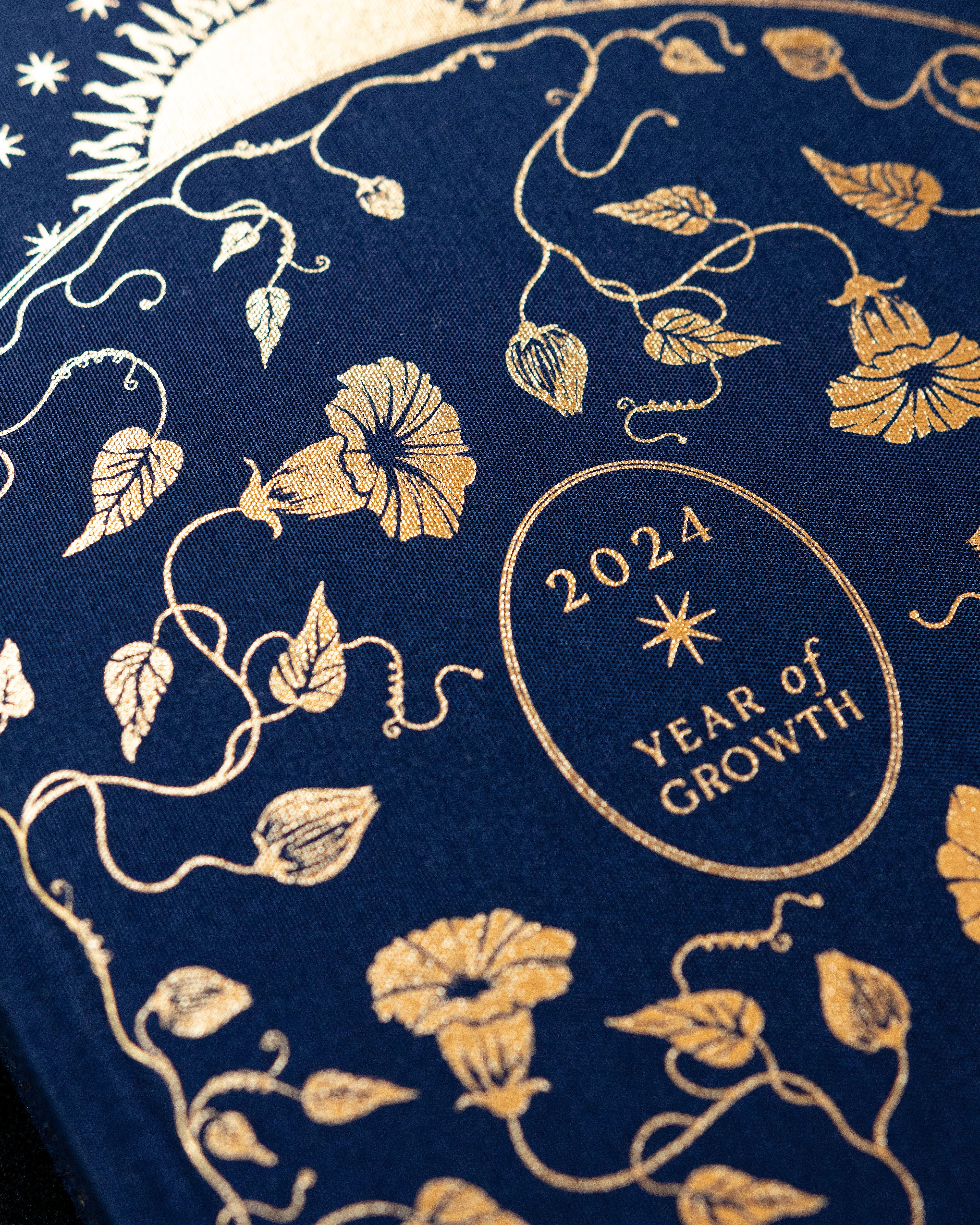 DREAMY MOONS 2024 YEAR OF GROWTH BOOK - BLUE