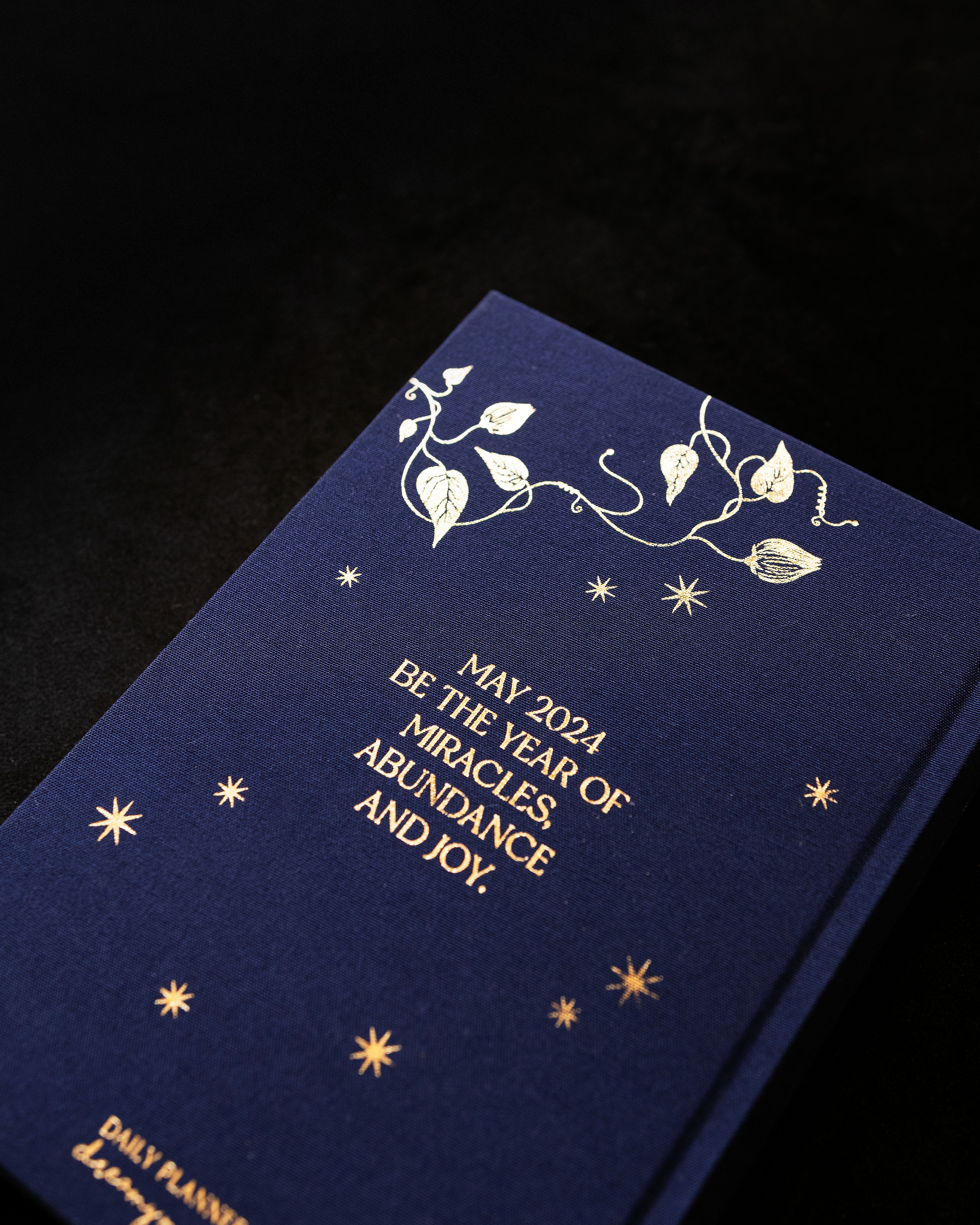 DREAMY MOONS 2024 DAILY PLANNER MIDNIGHT BLUE