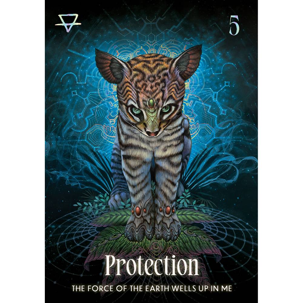 Shamanic Oracle Cards