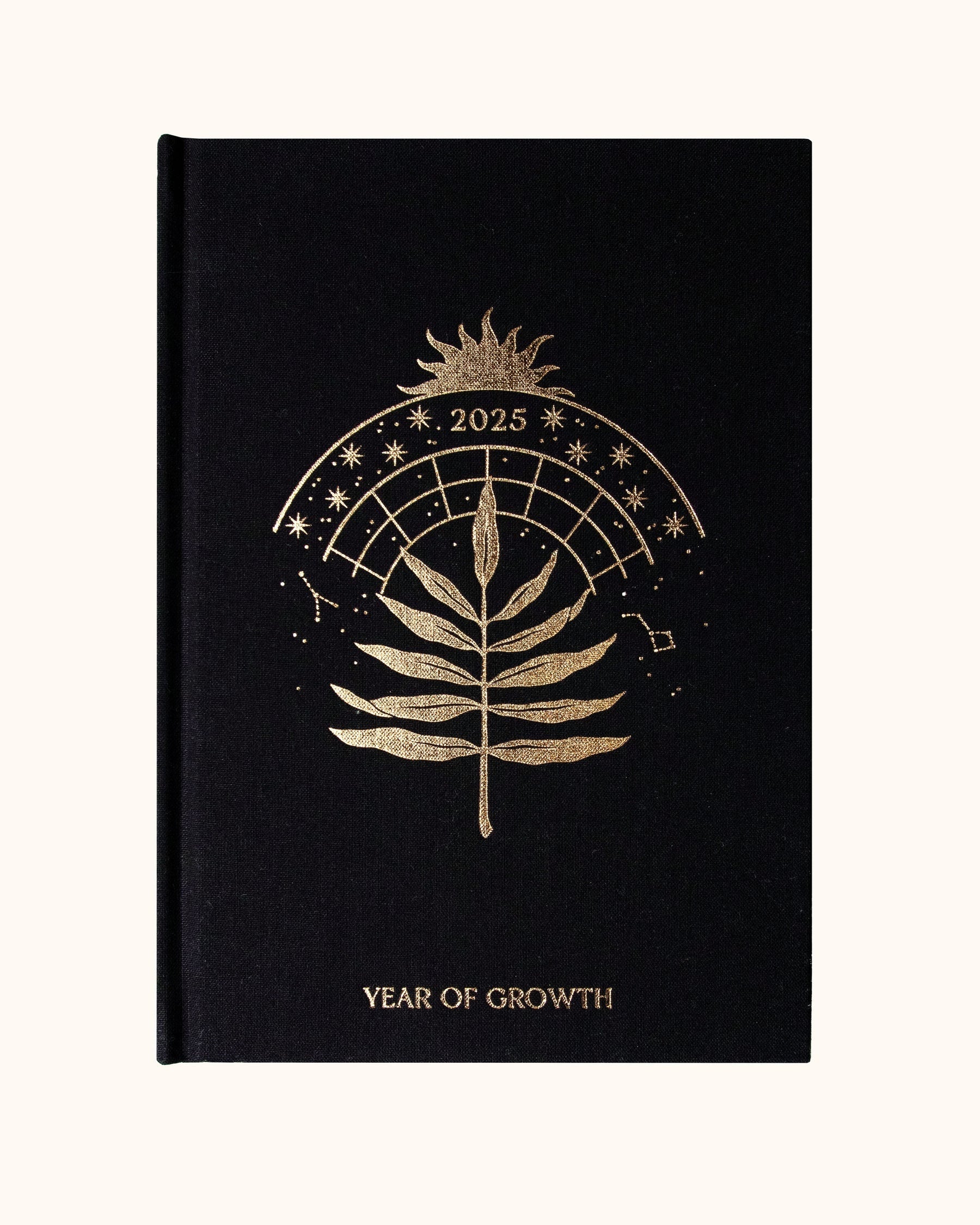 DREAMY MOONS 2025 YEAR OF GROWTH BOOK - BLACK
