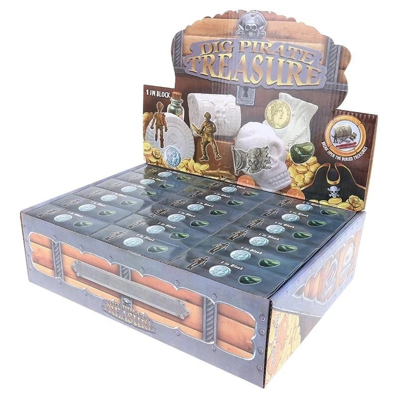 Pirate Treasure Excavation Kit Assorted