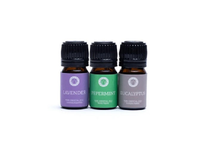 Gift Set Song of India Essential Oil Blend Lavender-Pepermint-Eucalypt Breathe