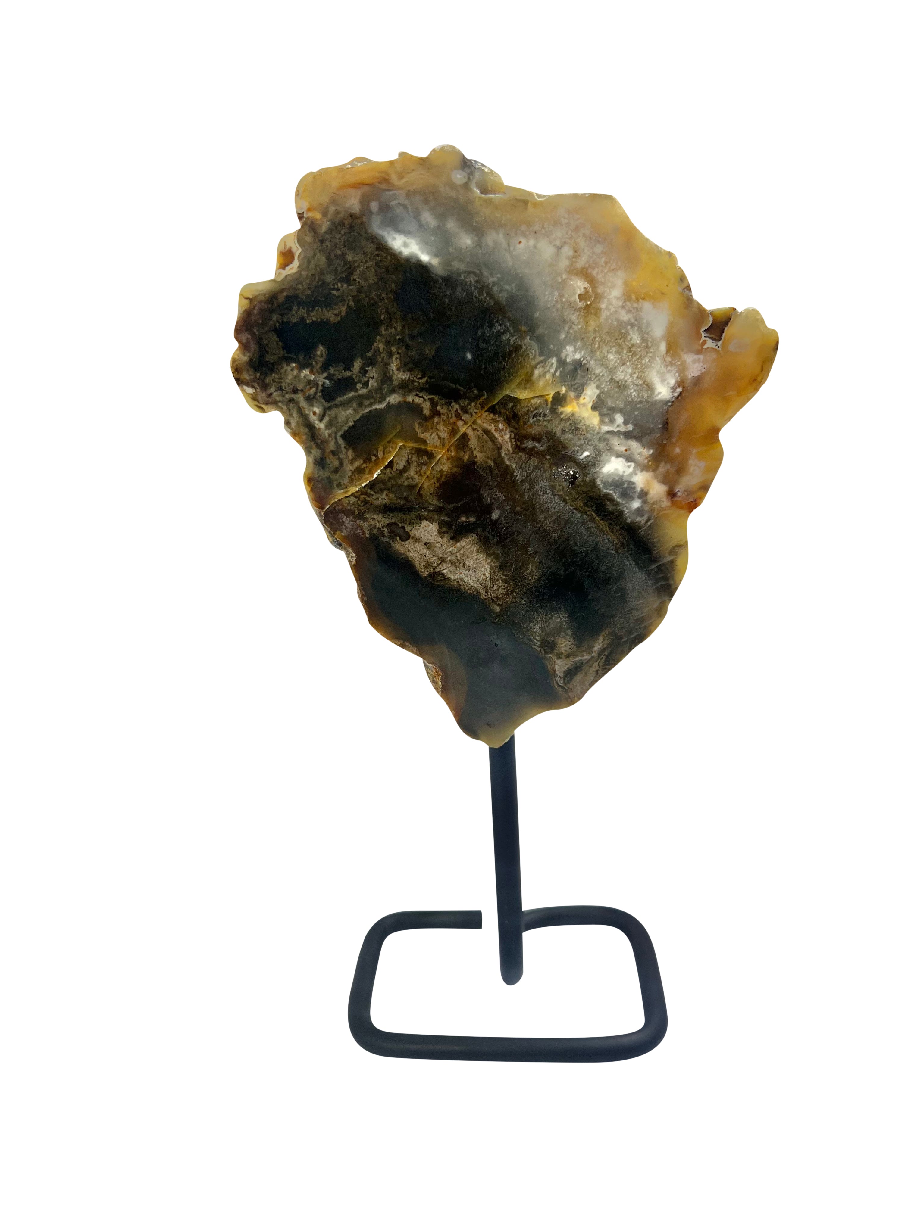 Unique Petrified Wood on Stand - Model D - Transformation Stone from Arizona USA