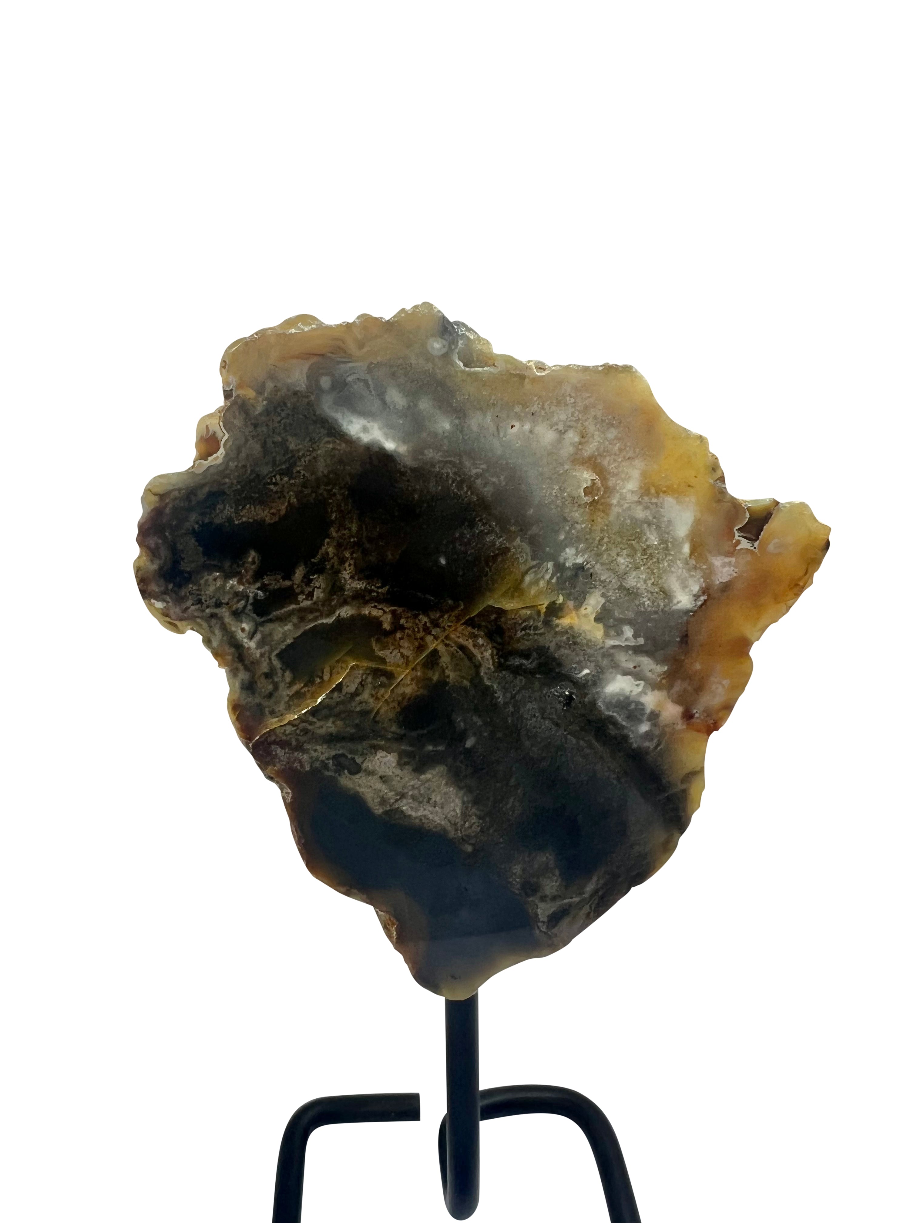 Unique Petrified Wood on Stand - Model D - Transformation Stone from Arizona USA