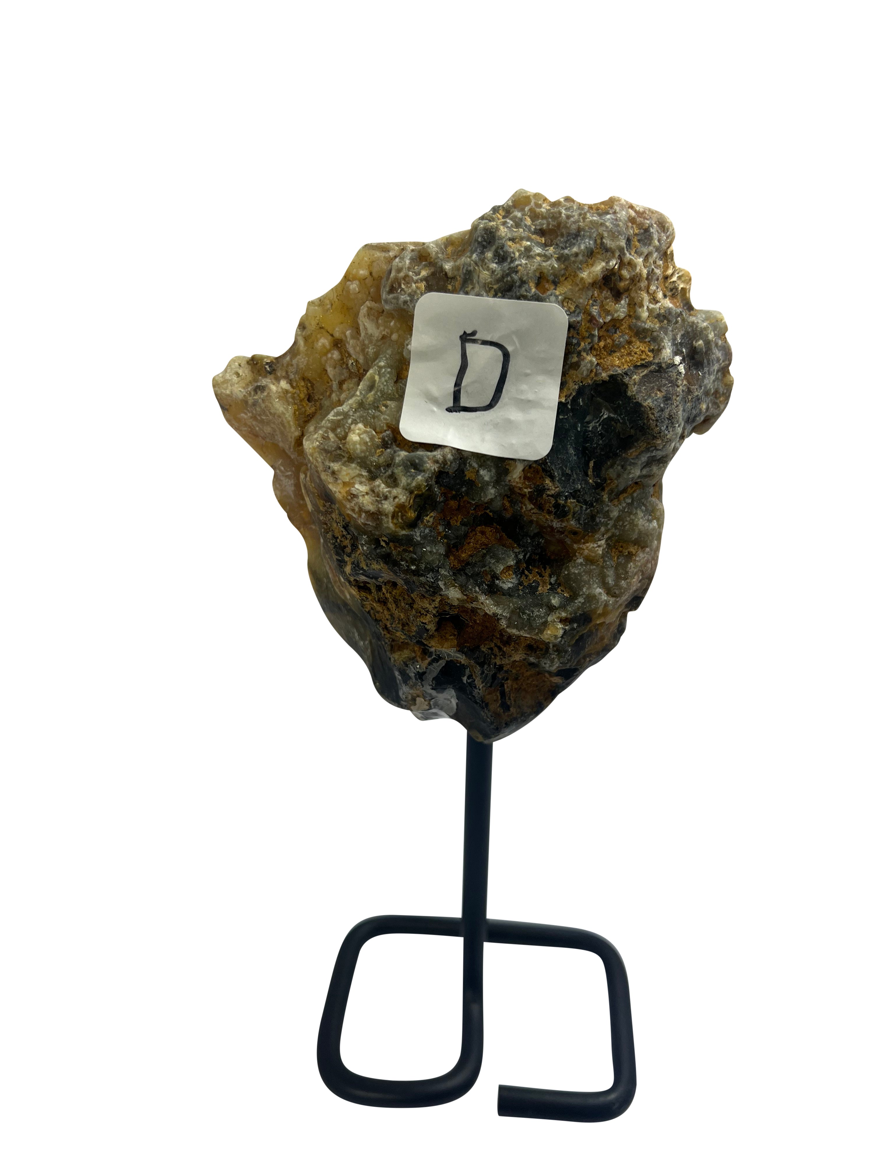 Unique Petrified Wood on Stand - Model D - Transformation Stone from Arizona USA