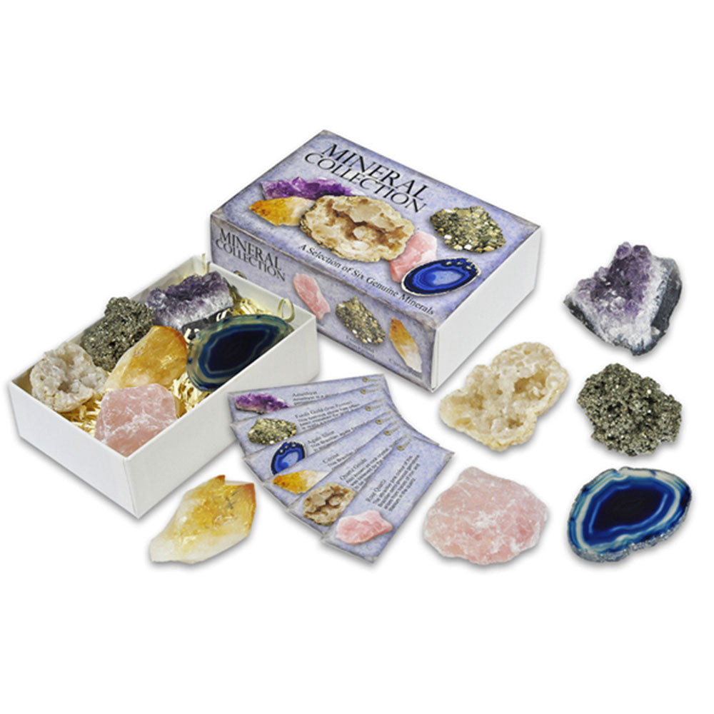Selection of Six Genuine Minerals