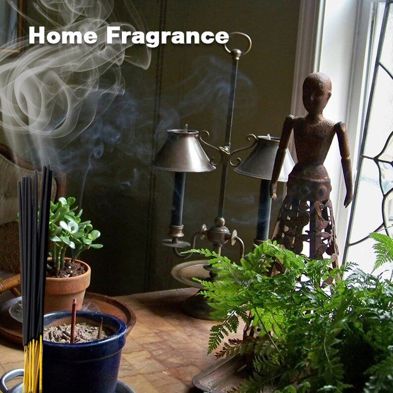 HEM Hexa Precious Citronella 120 Incense Sticks