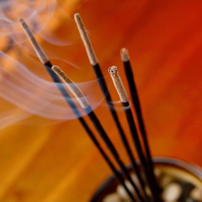 HEM Hexa Precious Citronella 120 Incense Sticks