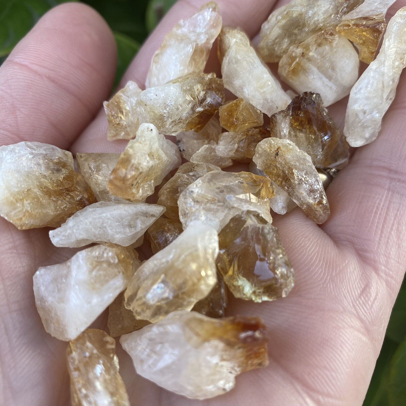 Small Citrine Points Natural Crystal Stones 200gm