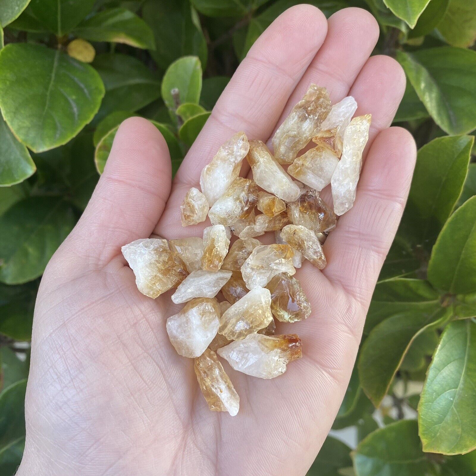 Small Citrine Points Natural Crystal Stones 200gm